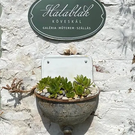 Guest house Hatablak Koveskal