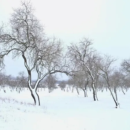 Hatablak 3* Köveskál