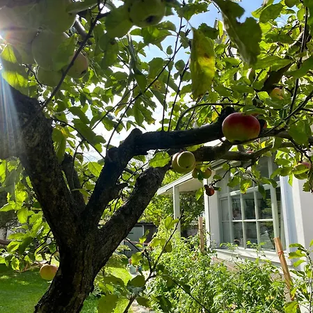 Hatablak بيت ضيافة