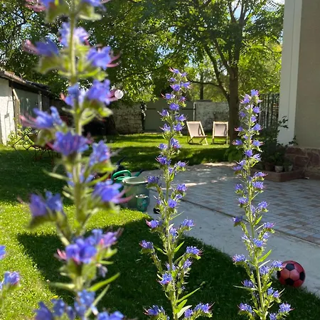 Hatablak Guest house Koveskal
