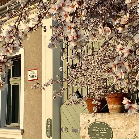 Hatablak Boutique In Πανσιόν