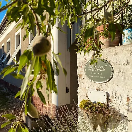 Πανσιόν Hatablak Boutique In